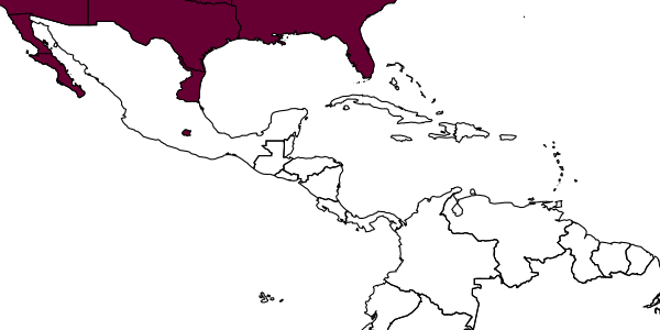 map of Eretmocerus emiratus     Zolnerowich & Rose, 1998